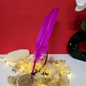 Plume Fuschia 25-30cm
